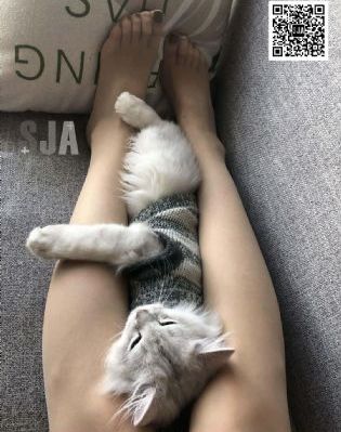 91精品啪Aⅴ在线观看国产_BD英语在线播放观看